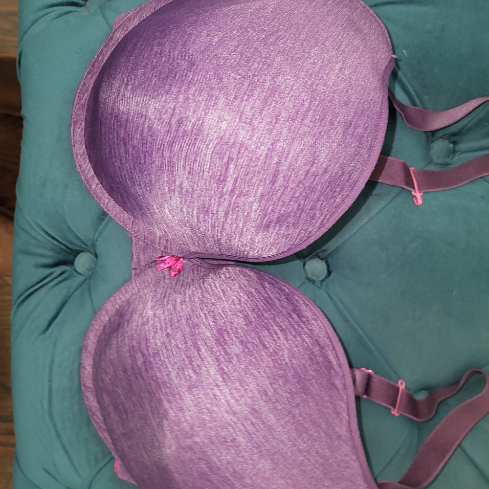 Cleo Vibrant Purple Bra